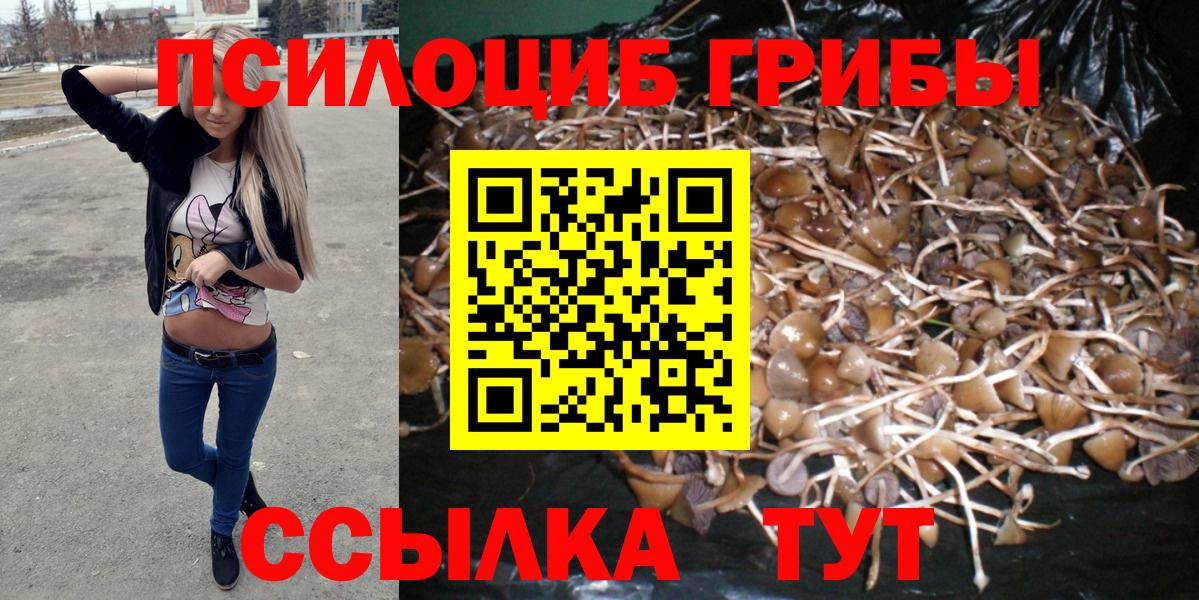 Псилоцибиновые грибы мухоморы Выборг